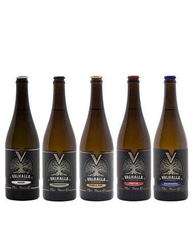 Sortiment von 4 Flaschen Mead Valhalla